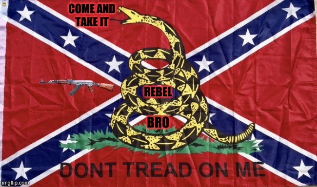 Confederate Gadsden flag | COME AND
TAKE IT; REBEL; BRO | image tagged in confederate gadsden flag | made w/ Imgflip meme maker