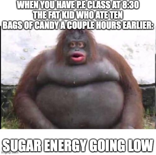Has anyone had a pathetic fat kid as a P.E partner here? | WHEN YOU HAVE P.E CLASS AT 8:30
THE FAT KID WHO ATE TEN BAGS OF CANDY A COUPLE HOURS EARLIER:; SUGAR ENERGY GOING LOW | image tagged in stinky,fat kid,candy,pe | made w/ Imgflip meme maker