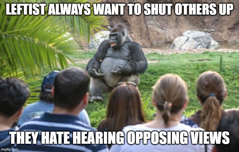 ted talk gorilla | LEFTIST ALWAYS WANT TO SHUT OTHERS UP THEY HATE HEARING OPPOSING VIEWS | image tagged in ted talk gorilla | made w/ Imgflip meme maker