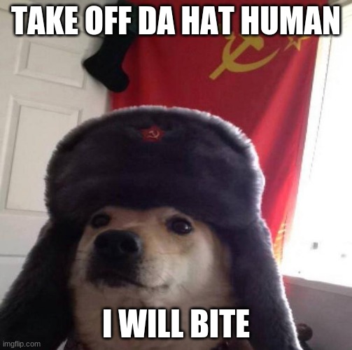 no hat | TAKE OFF DA HAT HUMAN; I WILL BITE | image tagged in russian doge | made w/ Imgflip meme maker
