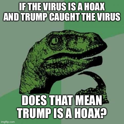 Philosoraptor Meme | IF THE VIRUS IS A HOAX AND TRUMP CAUGHT THE VIRUS DOES THAT MEAN TRUMP IS A HOAX? | image tagged in memes,philosoraptor | made w/ Imgflip meme maker