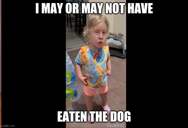 Uhhh i have a lie | I MAY OR MAY NOT HAVE; EATEN THE DOG | image tagged in memes | made w/ Imgflip meme maker
