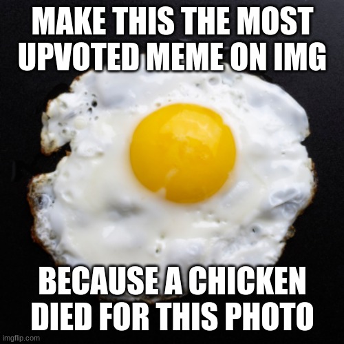 if instagram can do it, so can I | MAKE THIS THE MOST UPVOTED MEME ON IMG; BECAUSE A CHICKEN DIED FOR THIS PHOTO | image tagged in eggs | made w/ Imgflip meme maker
