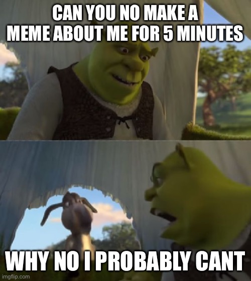 Shrek | CAN YOU NO MAKE A MEME ABOUT ME FOR 5 MINUTES; WHY NO I PROBABLY CANT | image tagged in could you not ___ for 5 minutes | made w/ Imgflip meme maker