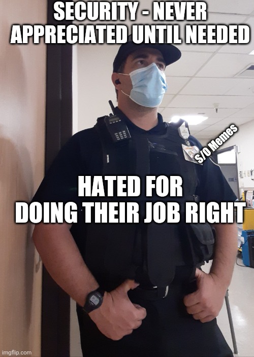 You know that's the truth | SECURITY - NEVER APPRECIATED UNTIL NEEDED; HATED FOR DOING THEIR JOB RIGHT; S/O Memes | image tagged in security guard | made w/ Imgflip meme maker