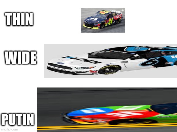 wide | THIN; WIDE; PUTIN | image tagged in wide putin,nascar | made w/ Imgflip meme maker