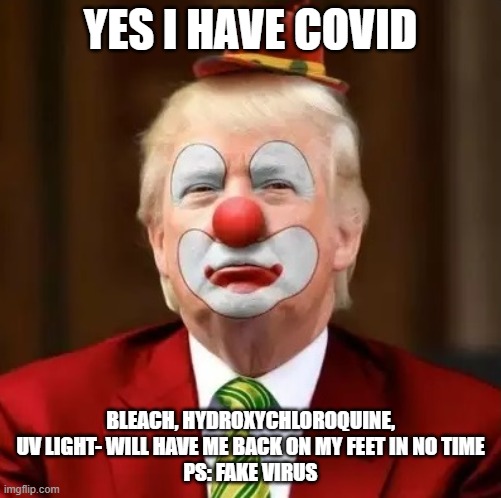 Donald Trump Clown | YES I HAVE COVID; BLEACH, HYDROXYCHLOROQUINE, UV LIGHT- WILL HAVE ME BACK ON MY FEET IN NO TIME
PS: FAKE VIRUS | image tagged in donald trump clown | made w/ Imgflip meme maker