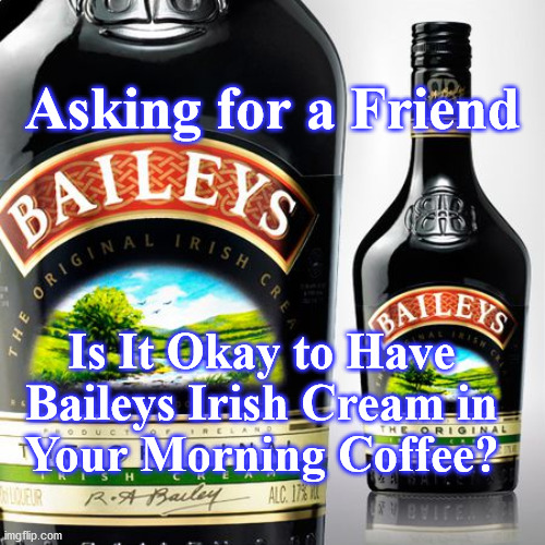baileys | Asking for a Friend; Is It Okay to Have Baileys Irish Cream in
 Your Morning Coffee? | image tagged in baileys | made w/ Imgflip meme maker