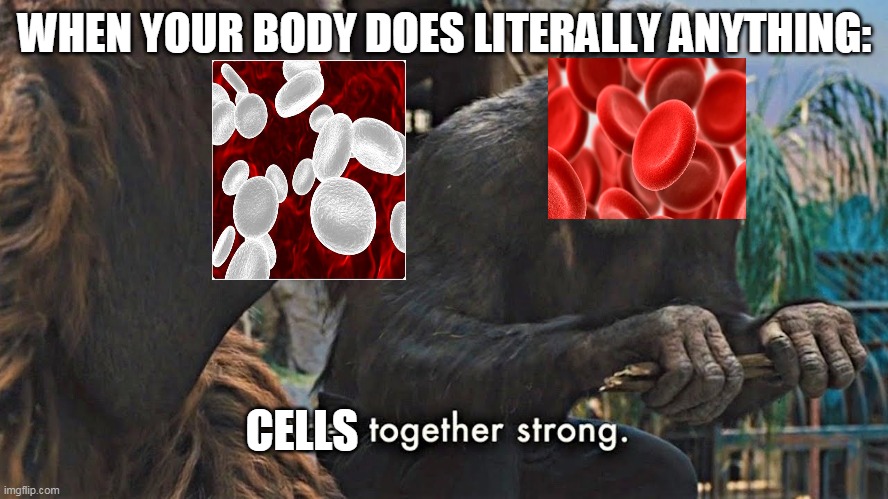 Ape together strong | WHEN YOUR BODY DOES LITERALLY ANYTHING:; CELLS | image tagged in ape together strong,cell,body | made w/ Imgflip meme maker