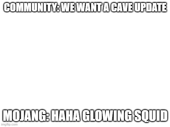 Blank White Template | COMMUNITY: WE WANT A CAVE UPDATE; MOJANG: HAHA GLOWING SQUID | image tagged in blank white template | made w/ Imgflip meme maker