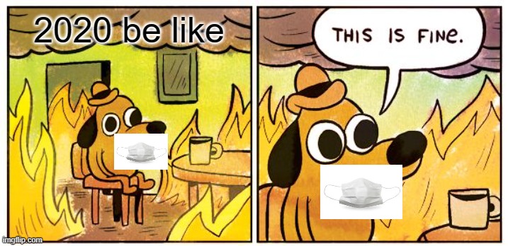 This Is Fine Meme | 2020 be like | image tagged in memes,this is fine | made w/ Imgflip meme maker