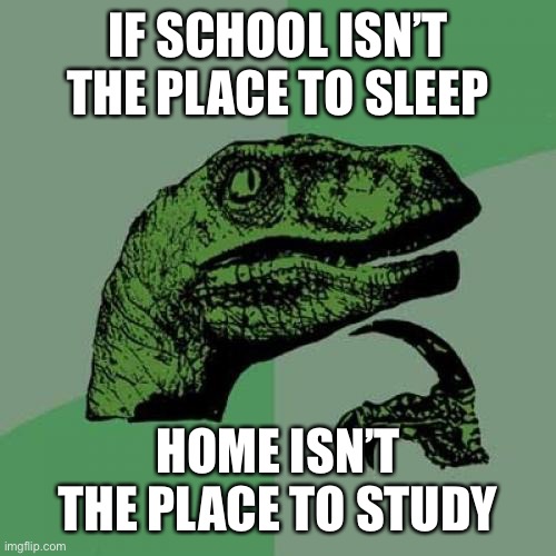 Philosoraptor | IF SCHOOL ISN’T THE PLACE TO SLEEP; HOME ISN’T THE PLACE TO STUDY | image tagged in memes,philosoraptor | made w/ Imgflip meme maker