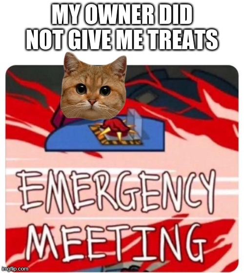 cats | MY OWNER DID NOT GIVE ME TREATS | image tagged in emergency meeting among us | made w/ Imgflip meme maker