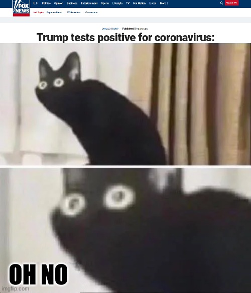 Anyone who says anything like "he deserved it" or "i hope he dies" i will cuss you out | OH NO | image tagged in oh no black cat,memes,coronavirus,covid-19,fox new,donald trump | made w/ Imgflip meme maker