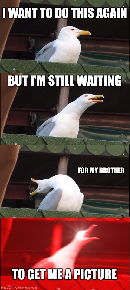 I’m an only lol | I WANT TO DO THIS AGAIN; BUT I'M STILL WAITING; FOR MY BROTHER; TO GET ME A PICTURE | image tagged in memes,inhaling seagull | made w/ Imgflip meme maker