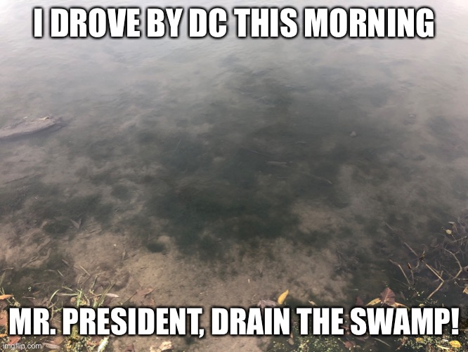 Drain the Swamp | I DROVE BY DC THIS MORNING; MR. PRESIDENT, DRAIN THE SWAMP! | image tagged in president trump | made w/ Imgflip meme maker
