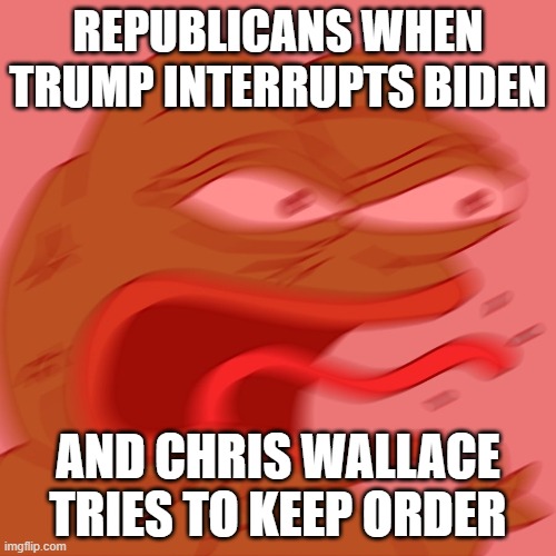 It'S LiKe wAlLaCe wAs pArT Of tHe dEbAtE | REPUBLICANS WHEN TRUMP INTERRUPTS BIDEN; AND CHRIS WALLACE TRIES TO KEEP ORDER | image tagged in reeeeeeeeeeeeeeeeeeeeee | made w/ Imgflip meme maker