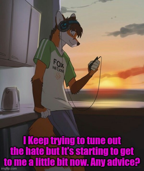 Help me plz | I Keep trying to tune out the hate but It's starting to get to me a little bit now. Any advice? | made w/ Imgflip meme maker