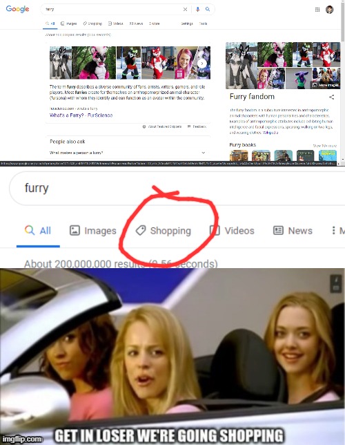 Shopping for Furries... | image tagged in google search shopping,furry,get in loser,memes,we're going shopping | made w/ Imgflip meme maker