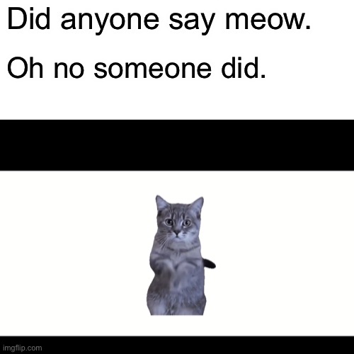 Meow I’m a cat | Did anyone say meow. Oh no someone did. | image tagged in cute cat | made w/ Imgflip meme maker