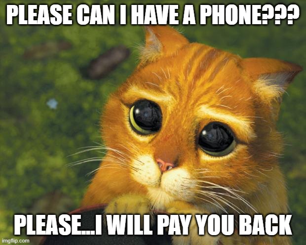 memes 2020 | PLEASE CAN I HAVE A PHONE??? PLEASE...I WILL PAY YOU BACK | image tagged in puss in boots | made w/ Imgflip meme maker