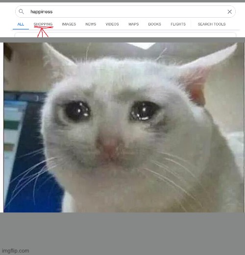 SO SAD | image tagged in crying cat | made w/ Imgflip meme maker