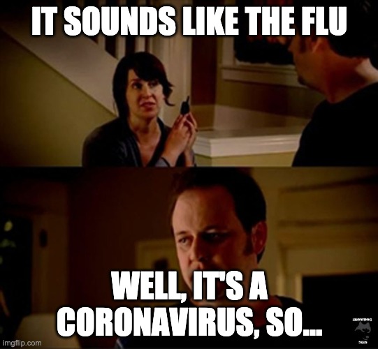 well he's a guy so... | IT SOUNDS LIKE THE FLU; WELL, IT'S A CORONAVIRUS, SO... | image tagged in well he's a guy so | made w/ Imgflip meme maker