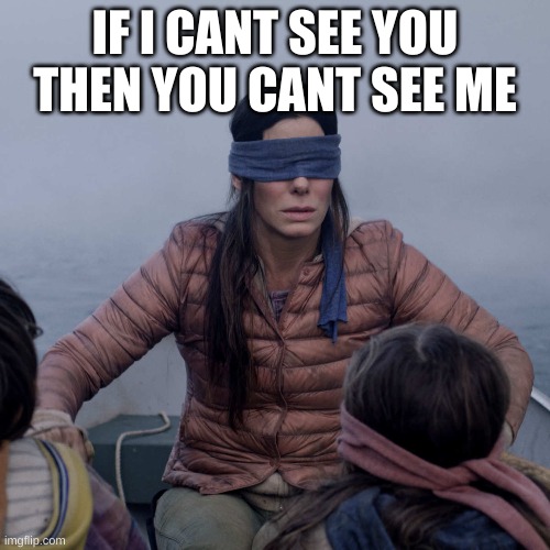 Bird Box Meme Imgflip