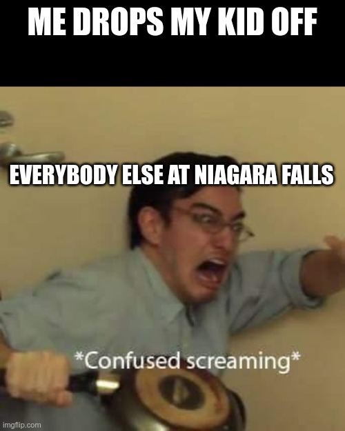 Niagara falls | ME DROPS MY KID OFF; EVERYBODY ELSE AT NIAGARA FALLS | image tagged in funny memes | made w/ Imgflip meme maker