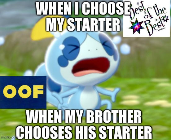 sobble | WHEN I CHOOSE MY STARTER; WHEN MY BROTHER CHOOSES HIS STARTER | image tagged in crying sobble | made w/ Imgflip meme maker