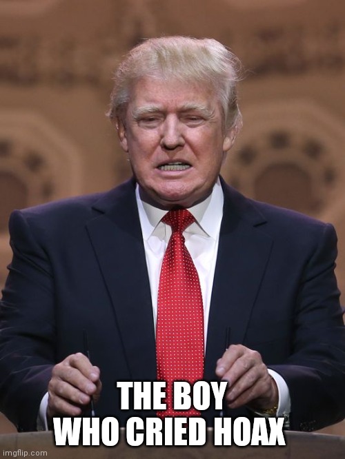 Donald Trump | THE BOY WHO CRIED HOAX | image tagged in donald trump | made w/ Imgflip meme maker