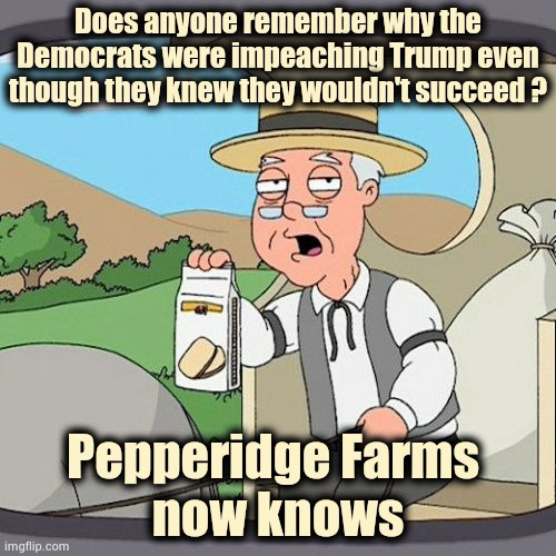 Too many coincidental coincidences | Does anyone remember why the Democrats were impeaching Trump even though they knew they wouldn't succeed ? Pepperidge Farms 
now knows | image tagged in memes,pepperidge farm remembers,politicians suck,donald trump,destruction | made w/ Imgflip meme maker