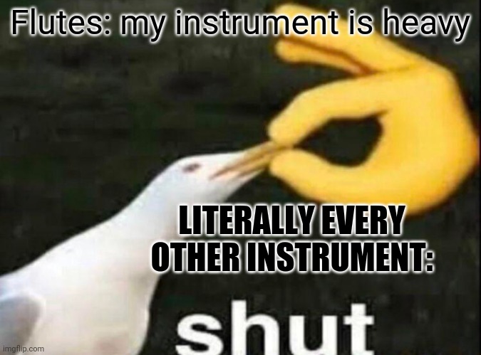 SHUT | Flutes: my instrument is heavy; LITERALLY EVERY OTHER INSTRUMENT: | image tagged in shut | made w/ Imgflip meme maker