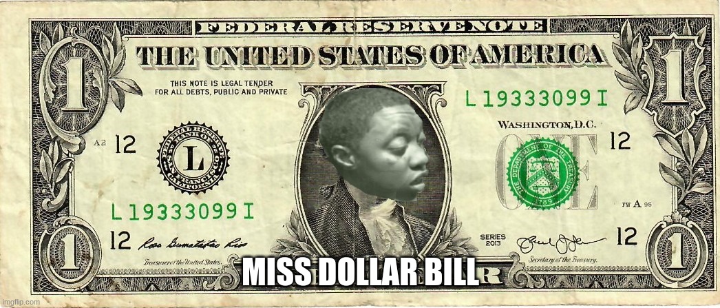 Does anyone still remember her? | MISS DOLLAR BILL | image tagged in dollars,bad photoshop | made w/ Imgflip meme maker