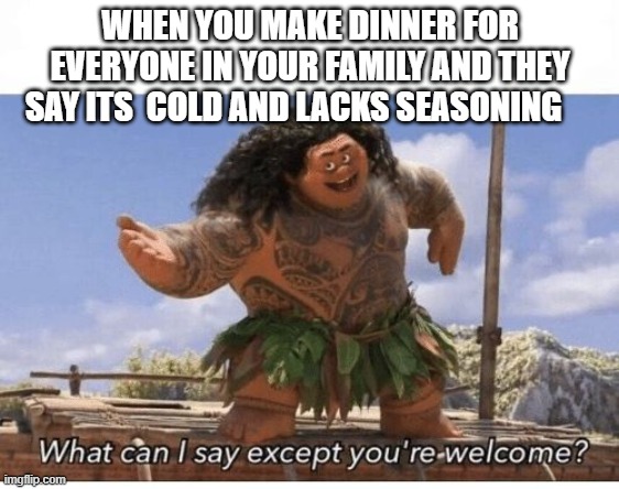 What can I say except you're welcome? | WHEN YOU MAKE DINNER FOR EVERYONE IN YOUR FAMILY AND THEY SAY ITS  COLD AND LACKS SEASONING | image tagged in what can i say except you're welcome | made w/ Imgflip meme maker