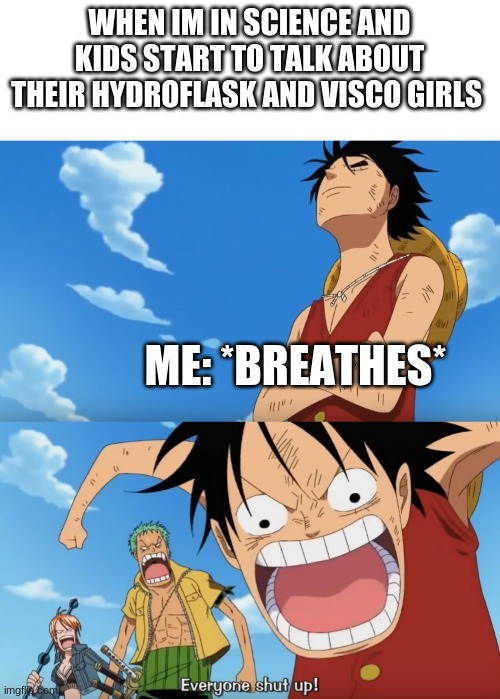One Piece Luffy Calm Then Yelling | WHEN IM IN SCIENCE AND KIDS START TO TALK ABOUT THEIR HYDROFLASK AND VISCO GIRLS; ME: *BREATHES* | image tagged in one piece luffy calm then yelling | made w/ Imgflip meme maker