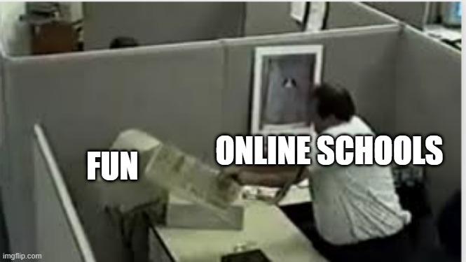man destroys computer | ONLINE SCHOOLS; FUN | image tagged in man destroys computer | made w/ Imgflip meme maker