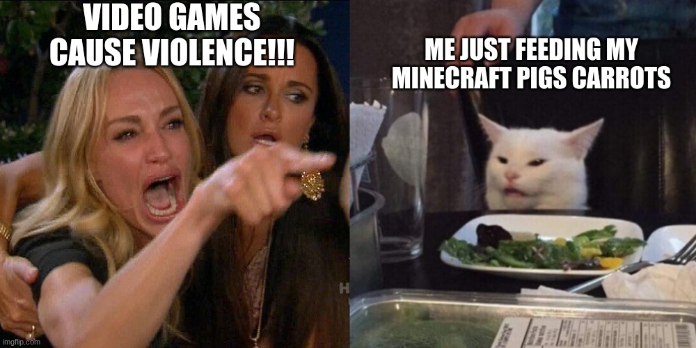 Woman yelling at cat | VIDEO GAMES CAUSE VIOLENCE!!! ME JUST FEEDING MY MINECRAFT PIGS CARROTS | image tagged in woman yelling at cat | made w/ Imgflip meme maker