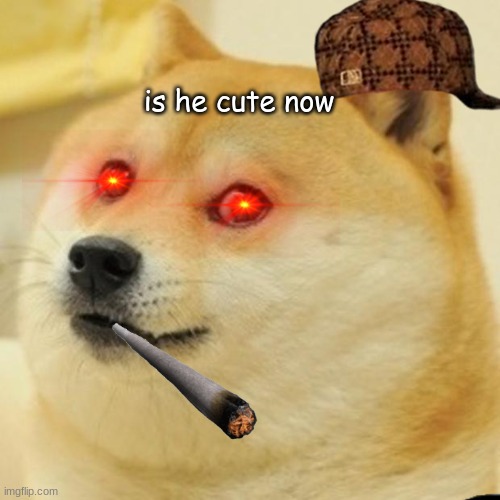 Doge Meme | is he cute now | image tagged in memes,doge | made w/ Imgflip meme maker