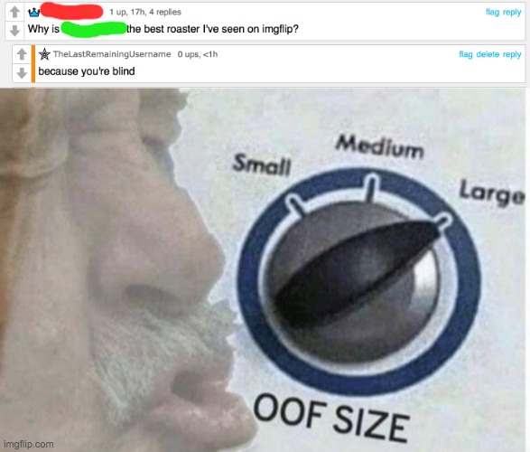 OOF | image tagged in oof size large | made w/ Imgflip meme maker