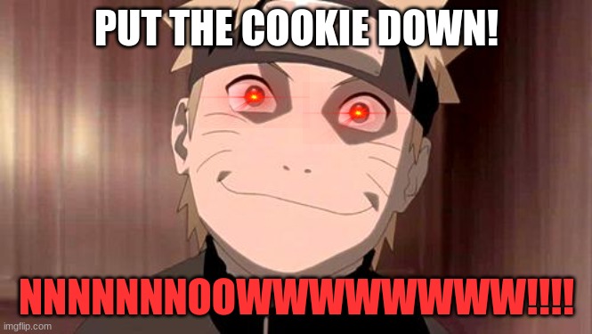 naruto schaweegnezeer | PUT THE COOKIE DOWN! NNNNNNNOOWWWWWWWW!!!! | image tagged in naruto | made w/ Imgflip meme maker