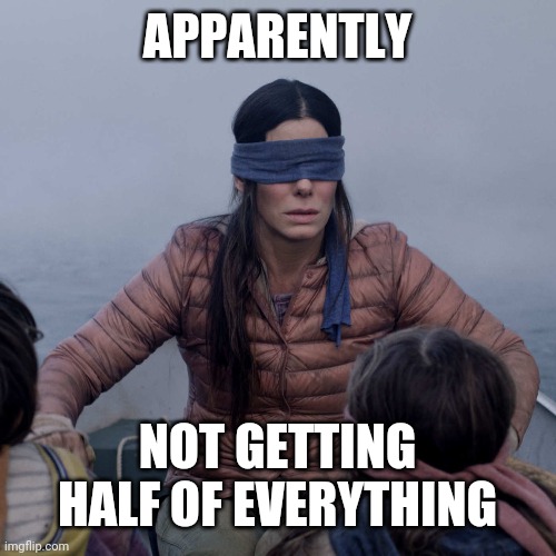 Bird Box | APPARENTLY; NOT GETTING HALF OF EVERYTHING | image tagged in memes,bird box | made w/ Imgflip meme maker