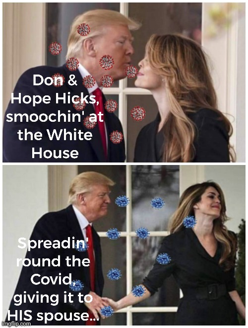 Don & Hope, Super-Duper Spreaders | image tagged in trump,hope hicks,covid,positive | made w/ Imgflip meme maker