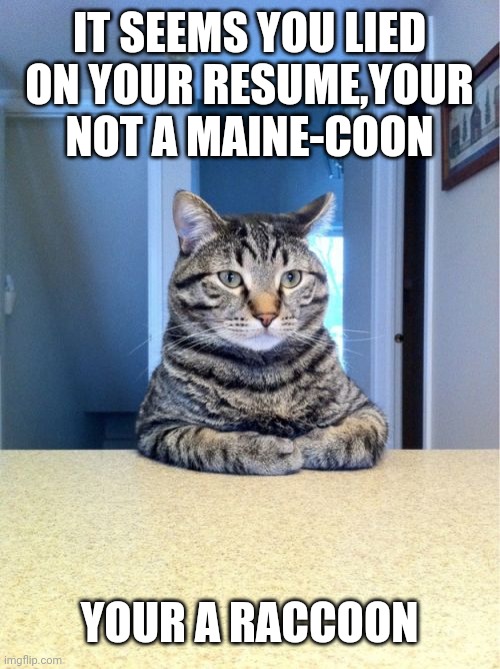 Take A Seat Cat | IT SEEMS YOU LIED ON YOUR RESUME,YOUR NOT A MAINE-COON; YOUR A RACCOON | image tagged in memes,take a seat cat | made w/ Imgflip meme maker