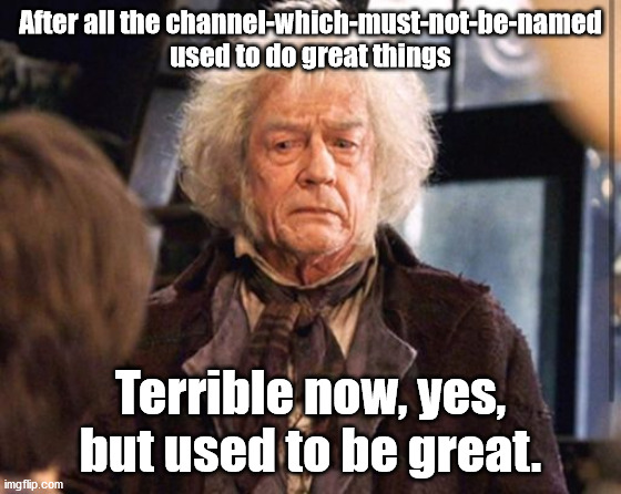 Olivander | After all the channel-which-must-not-be-named used to do great things Terrible now, yes, but used to be great. | image tagged in olivander | made w/ Imgflip meme maker