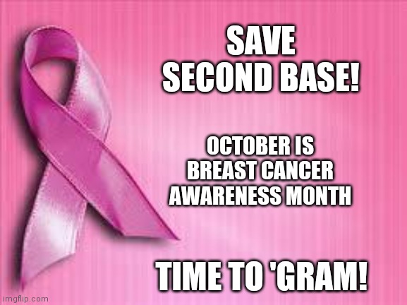 Breast cancer awareness. Save Second Base! | SAVE
SECOND BASE! OCTOBER IS
BREAST CANCER
AWARENESS MONTH; TIME TO 'GRAM! | image tagged in breast cancer awareness | made w/ Imgflip meme maker