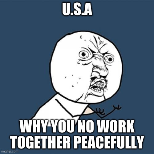 Y U No Meme | U.S.A; WHY YOU NO WORK TOGETHER PEACEFULLY | image tagged in memes,y u no | made w/ Imgflip meme maker