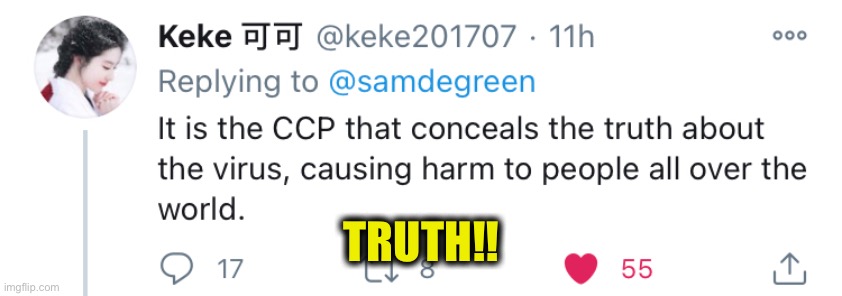 The left blaming the President for Covid-19 is just sick! | TRUTH!! | image tagged in covid-19,coronavirus,china,democrats,democratic party,memes | made w/ Imgflip meme maker