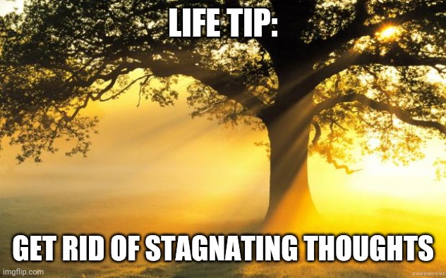 nature | LIFE TIP:; GET RID OF STAGNATING THOUGHTS | image tagged in nature | made w/ Imgflip meme maker