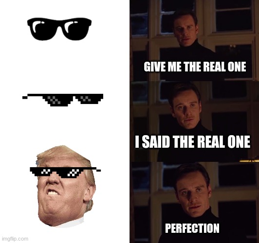 perfection | GIVE ME THE REAL ONE; I SAID THE REAL ONE; PERFECTION | image tagged in perfection | made w/ Imgflip meme maker